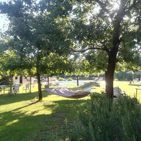 Agriturismo Dolce Verde Castiglione del Lago Zewnętrze zdjęcie