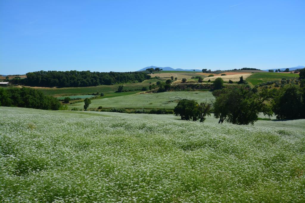 Agriturismo Dolce Verde Castiglione del Lago Zewnętrze zdjęcie