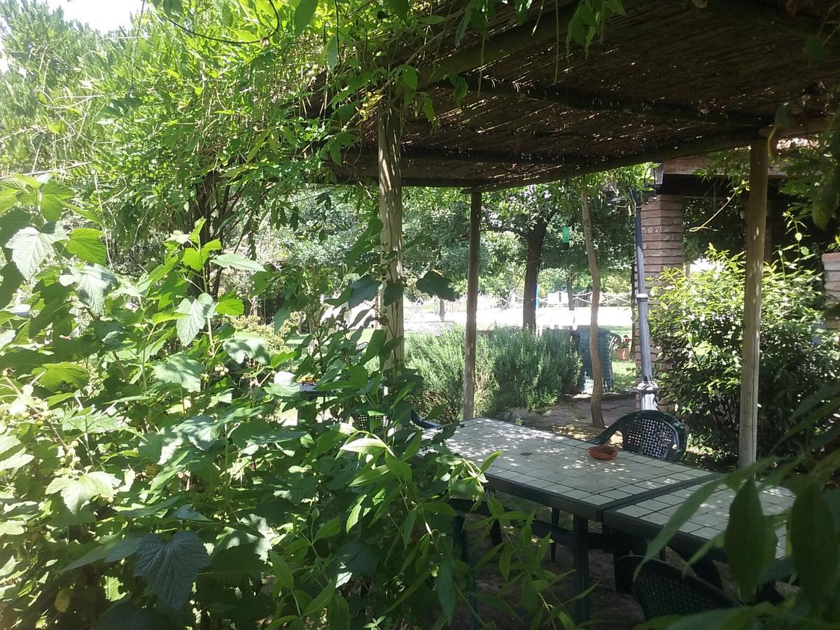 Agriturismo Dolce Verde Castiglione del Lago Zewnętrze zdjęcie